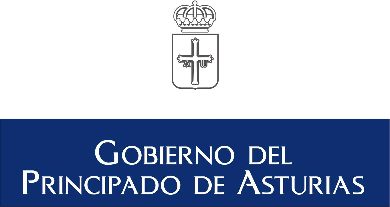 Curso Oficial - Gobierno del Principado de Asturias